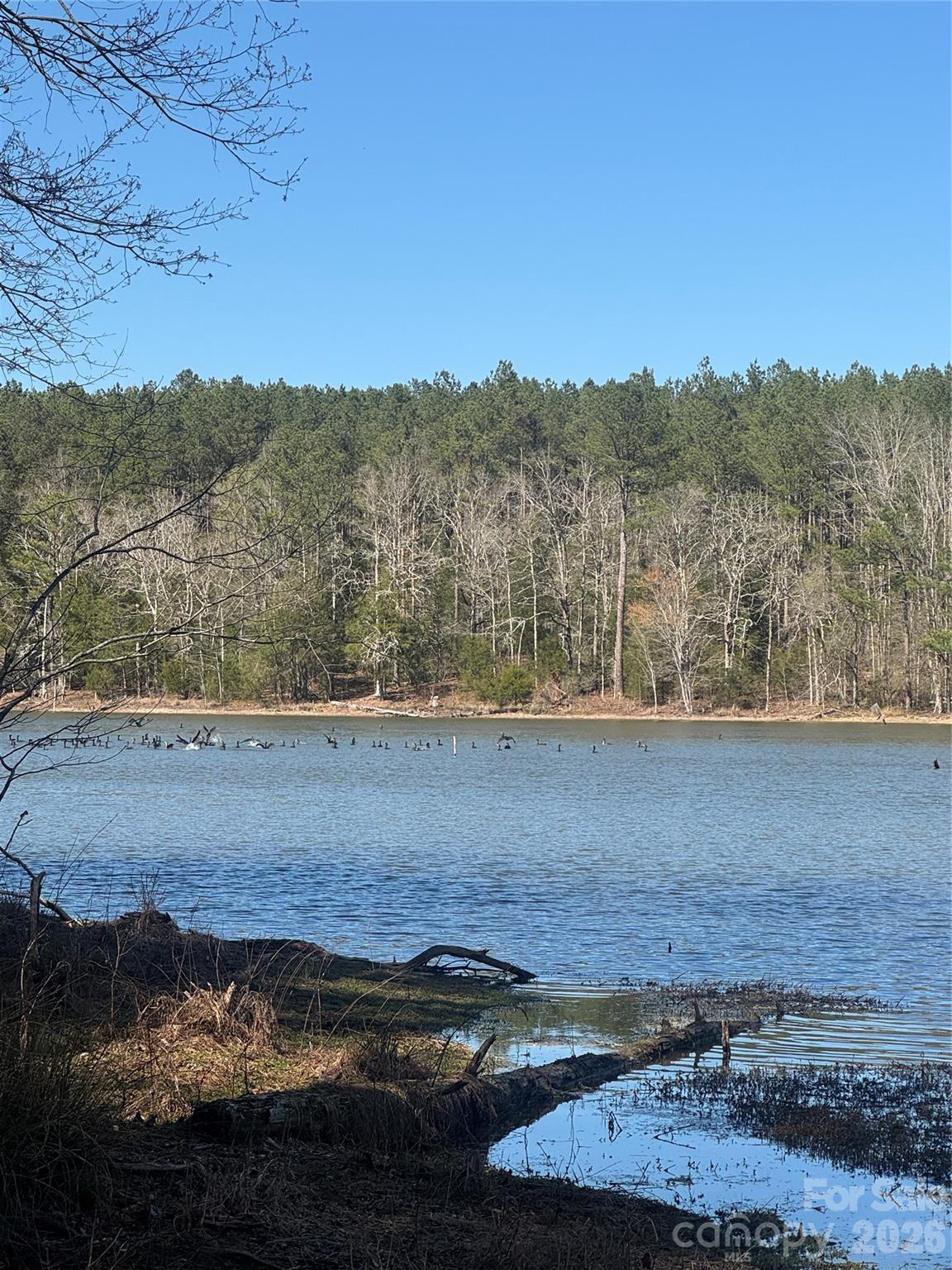 Serenity Shores - Land