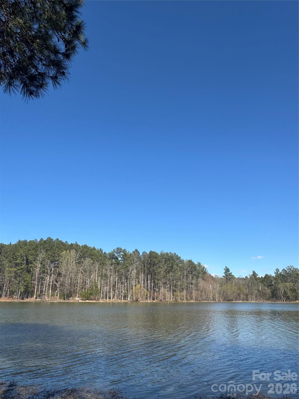 Serenity Shores - Land