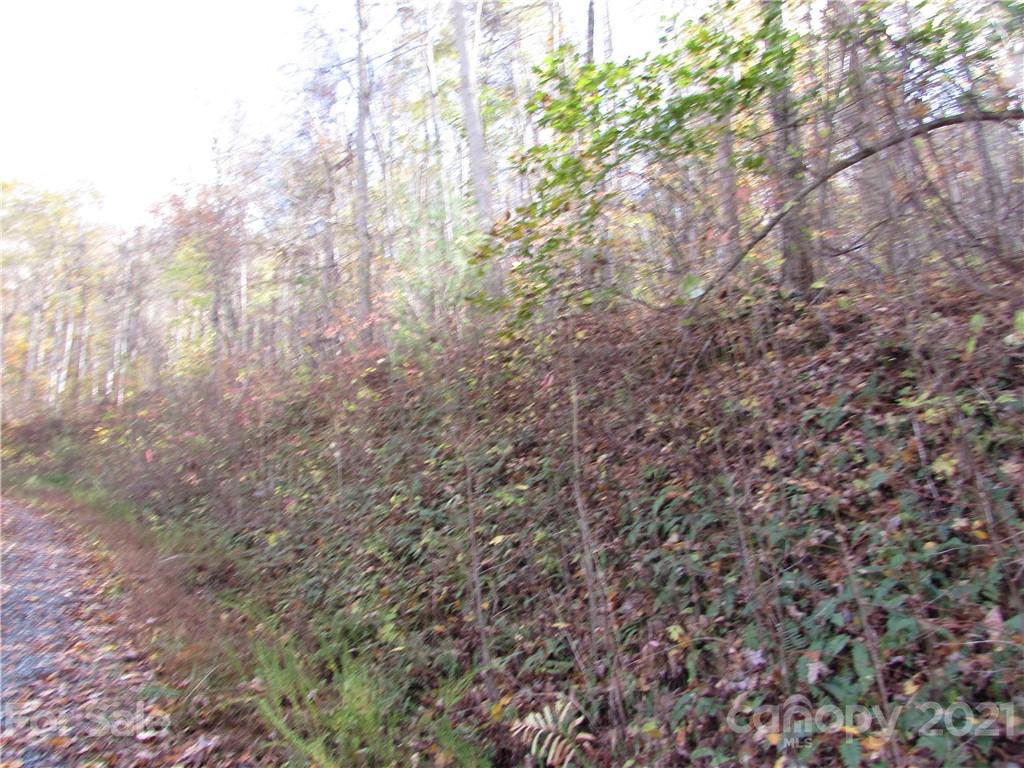 E- 13 Red Wolf Run None