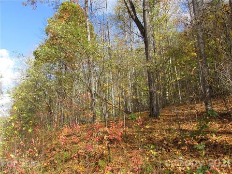 E- 13 Red Wolf Run None Mars Hill NC 28754