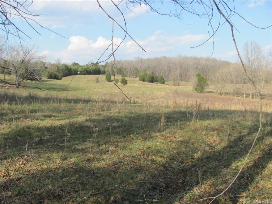 Bring the Horses!  67 acres, fenced, established pastures, 2 ponds, creek, brick home with 4 bd/2 ba, full basement with additional bath, call today.
