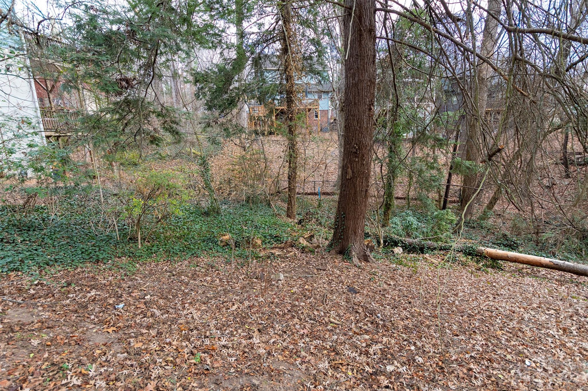 Montford Hills - Land