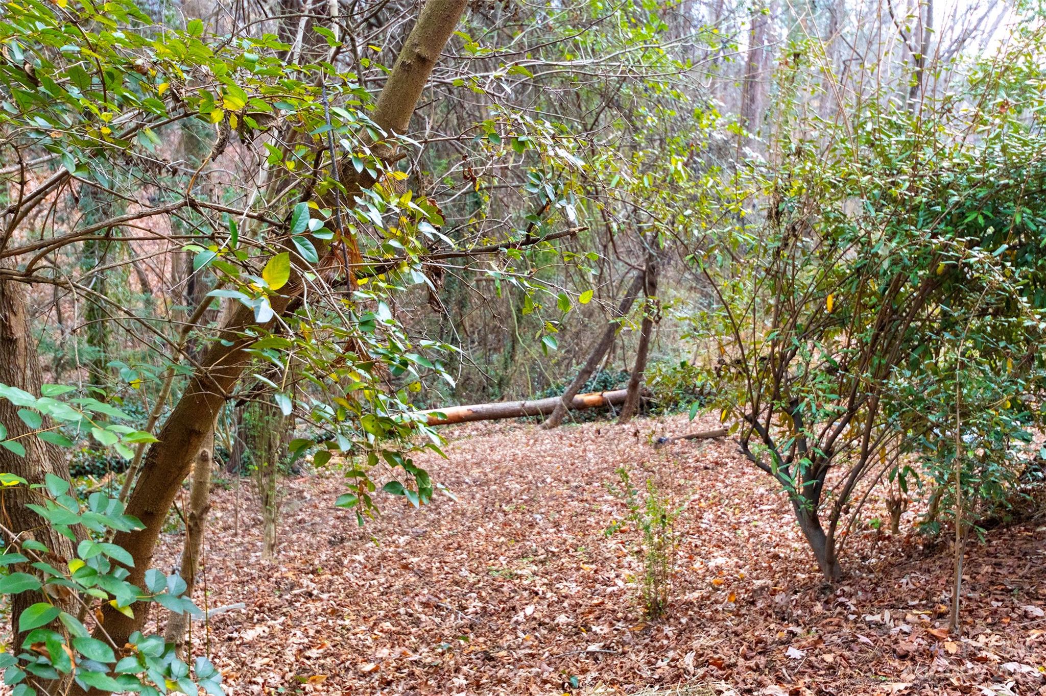 Montford Hills - Land