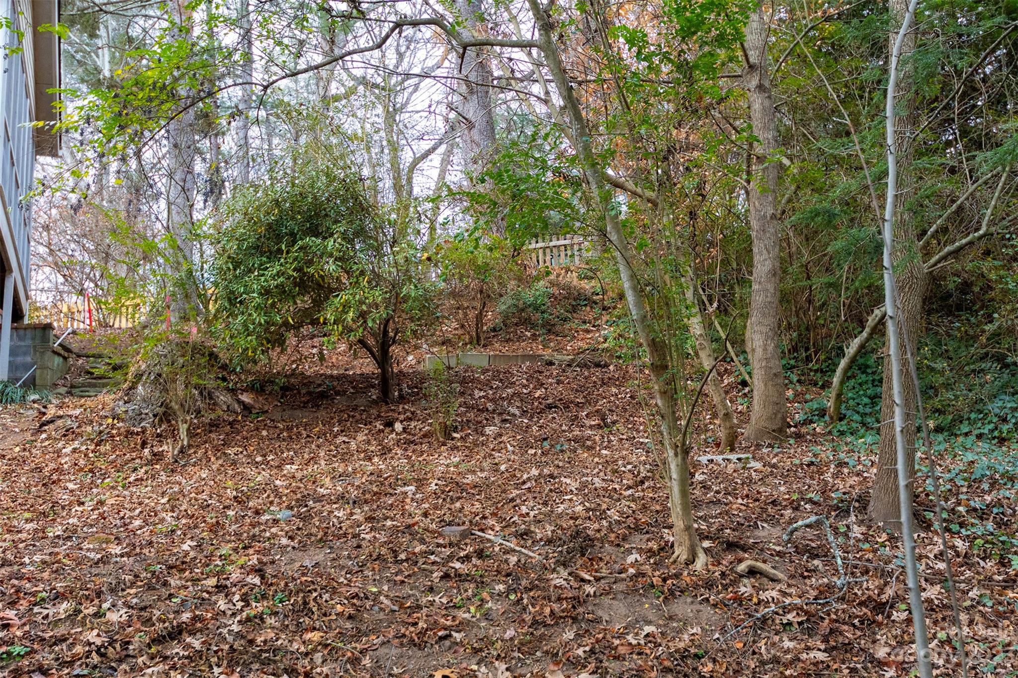 Montford Hills - Land