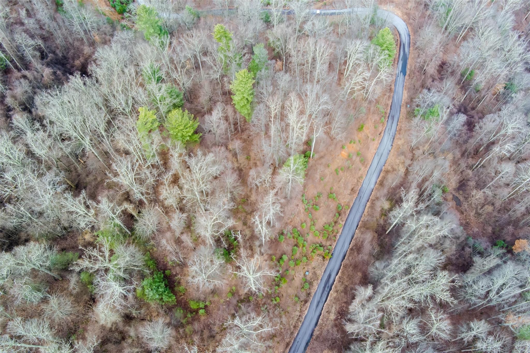620 Elk Mountain Scenic Highway