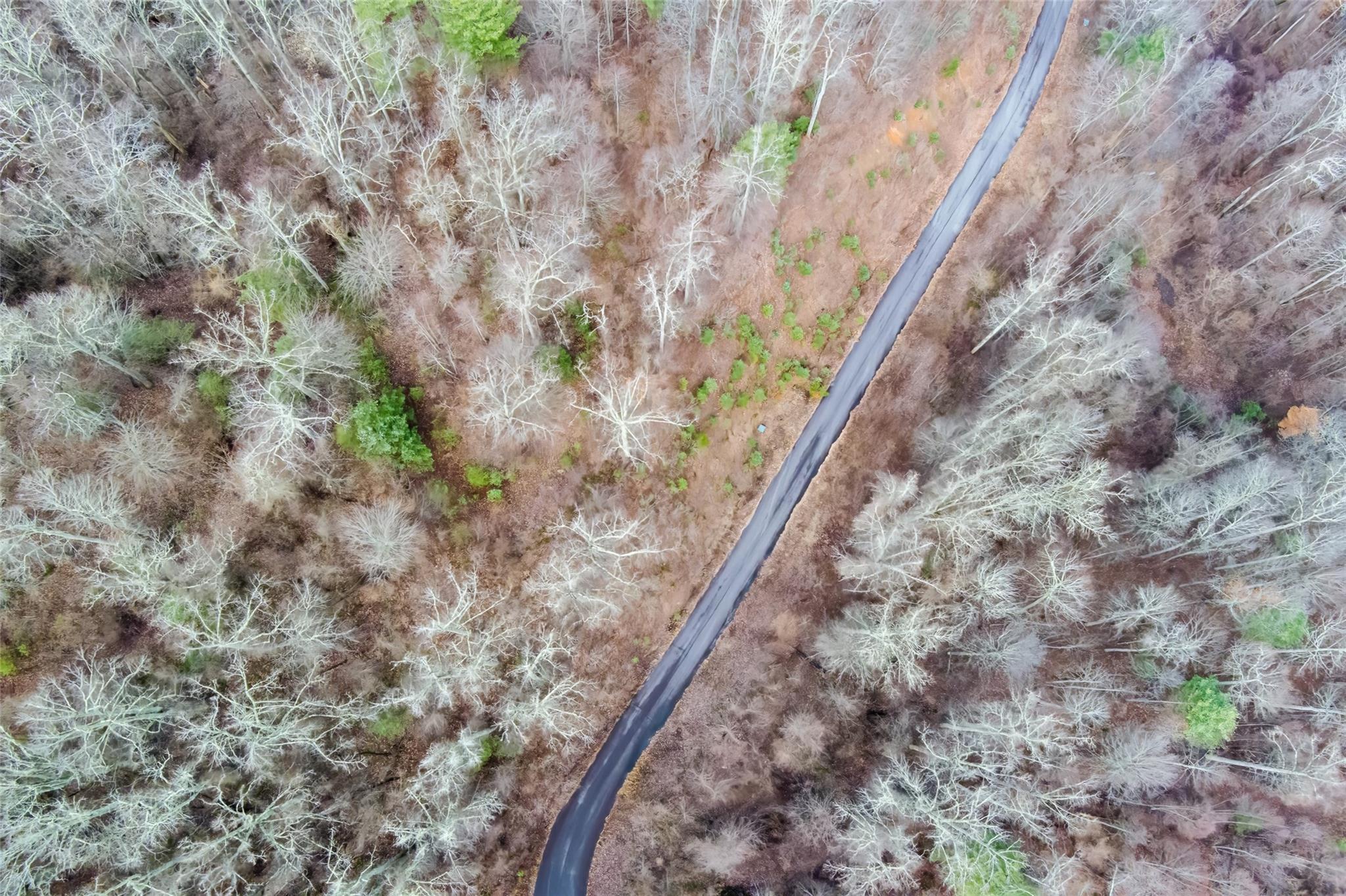 620 Elk Mountain Scenic Highway