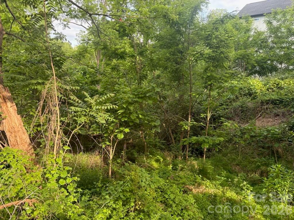 111 Waynesville Avenue