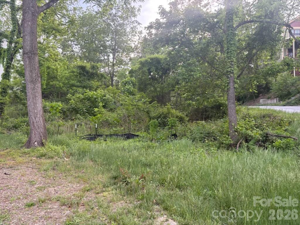Photo 1 of 7 — 111 Waynesville Avenue, Asheville, NC 28806
