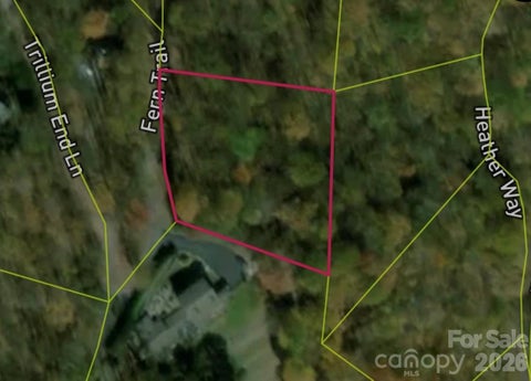 Photo of 13 Fern Trail, Waynesville, NC 28786 (MLS # 4436647)