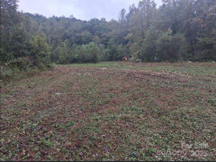 tbd 4 morgan lake Road 4