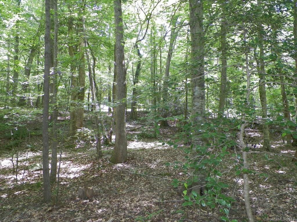 Tall Whit Lake - Residential