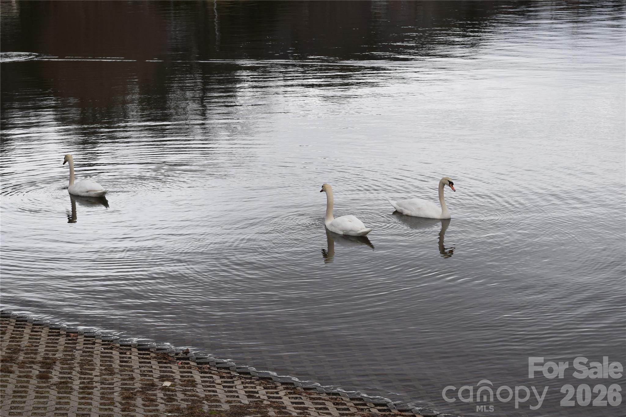 Lake Junaluska Assembly - Residential