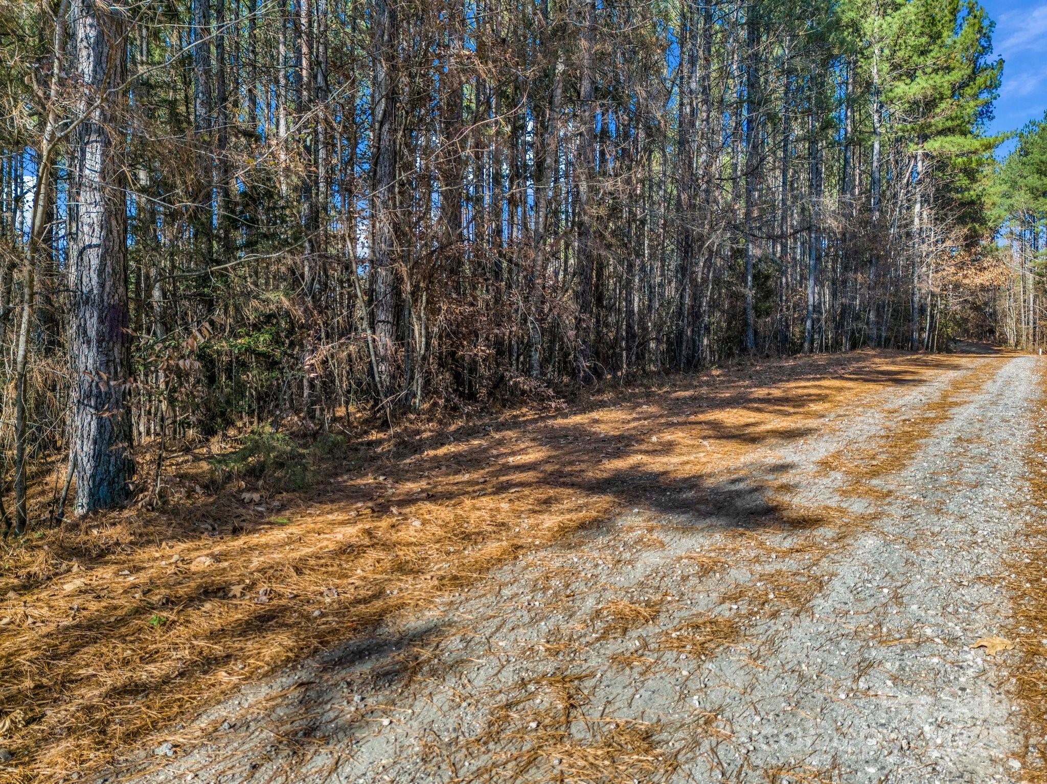 Deer Run Farms - Land