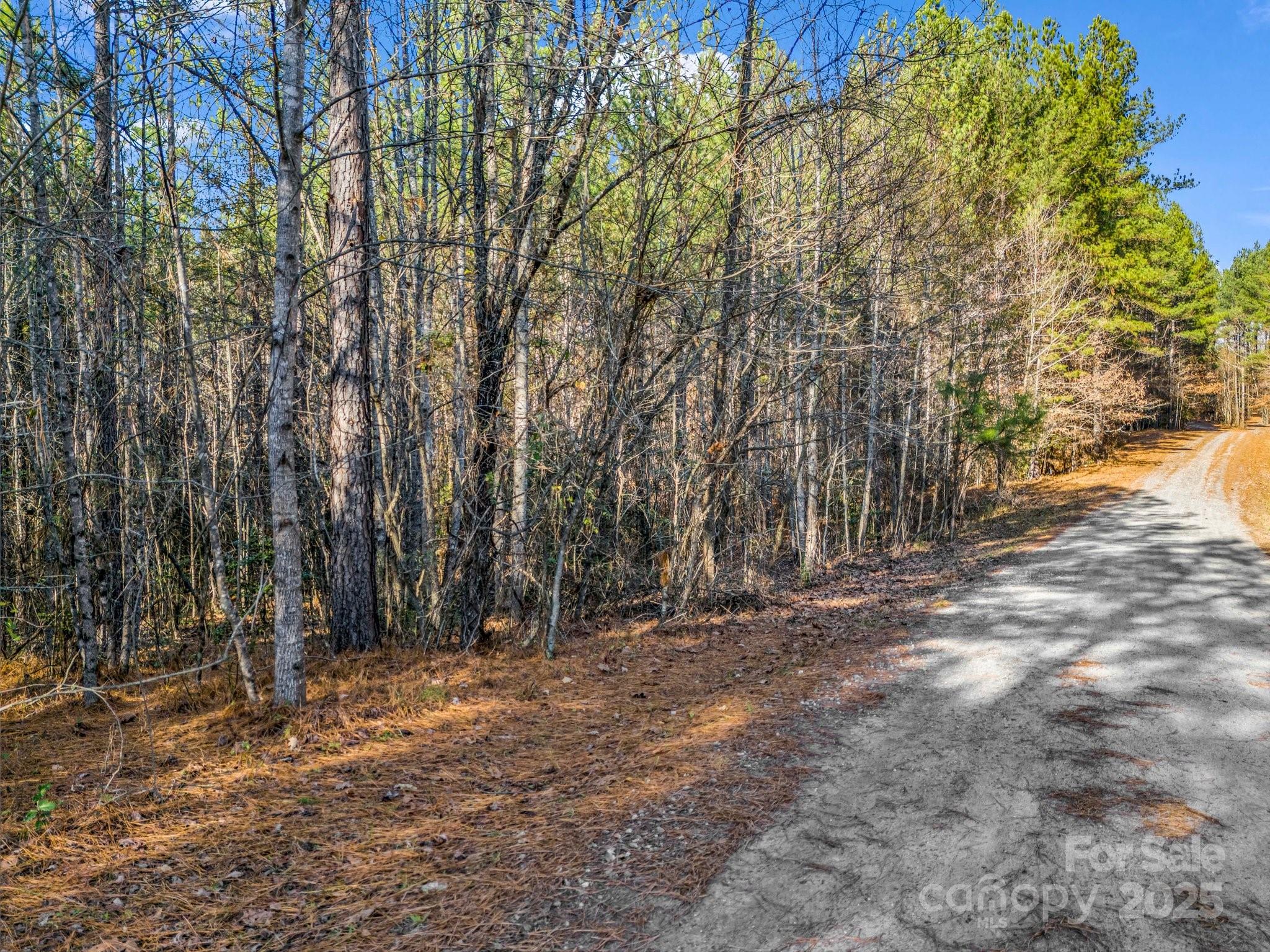 Deer Run Farms - Land