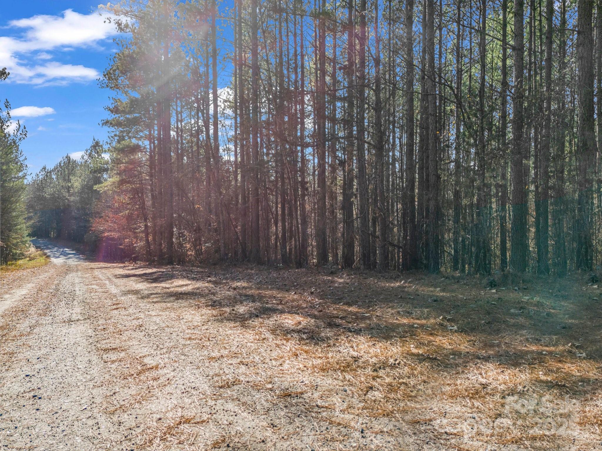 Deer Run Farms - Land