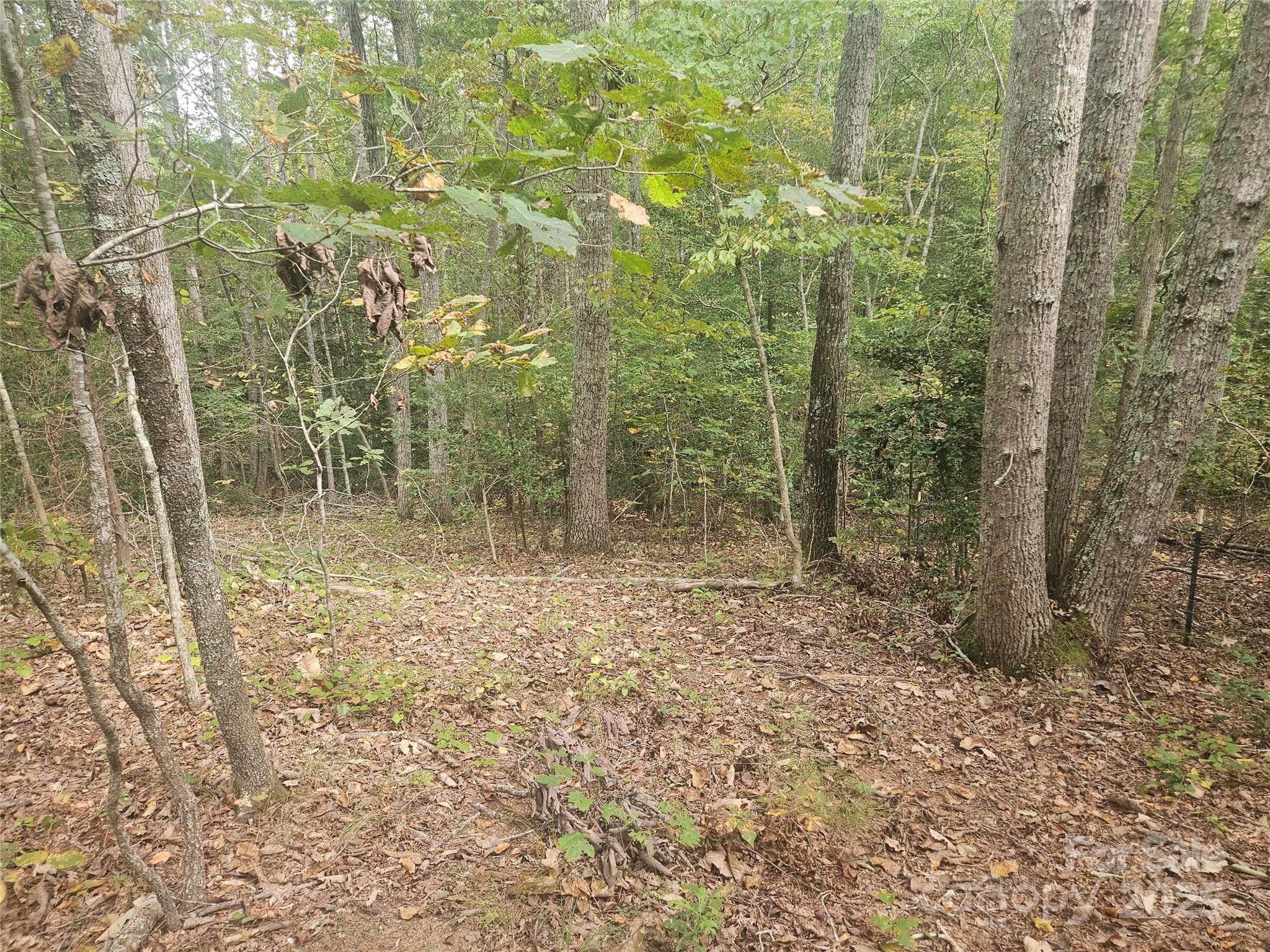 Mountain View Estates - Land