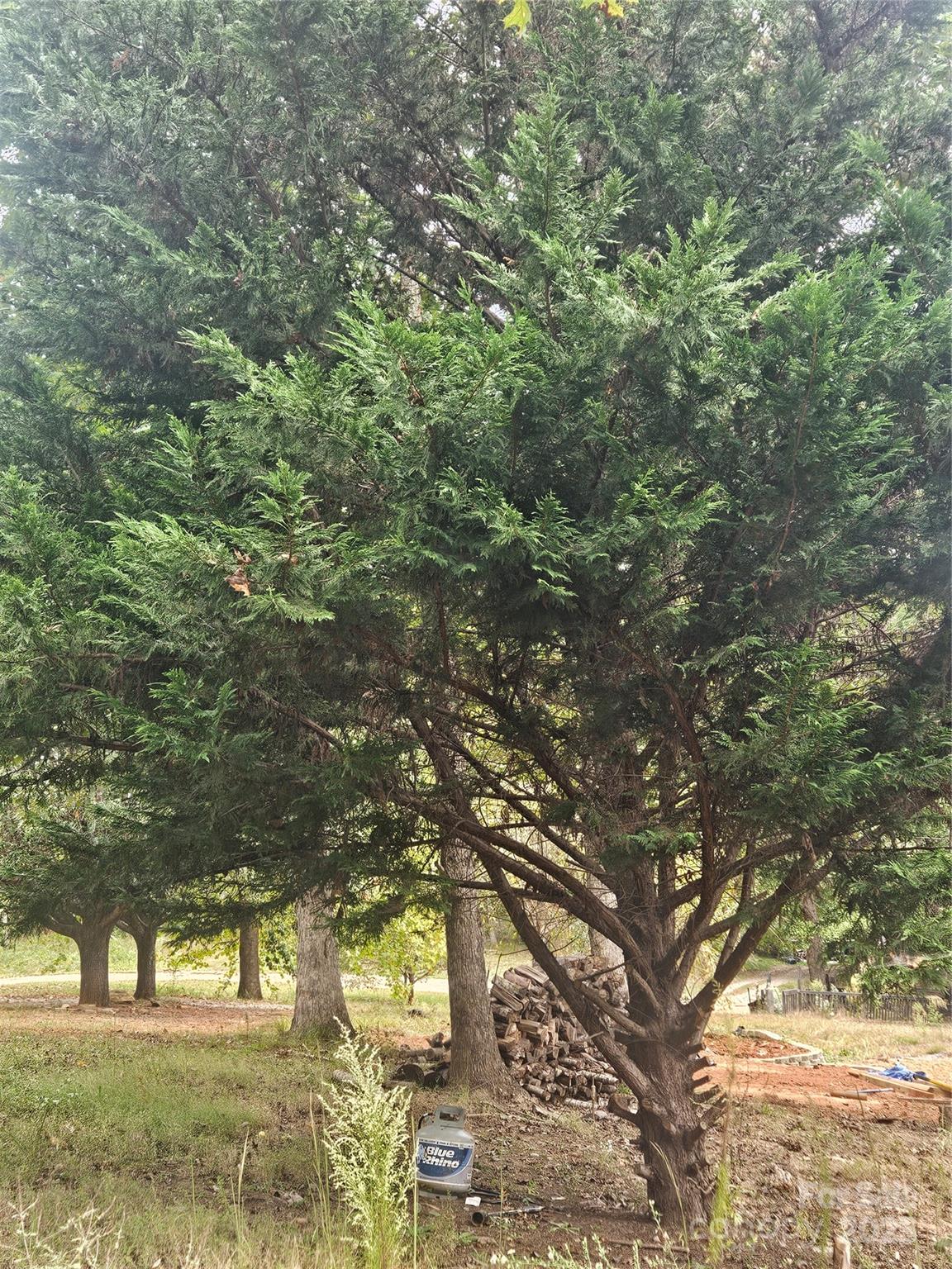 Mountain View Estates - Land