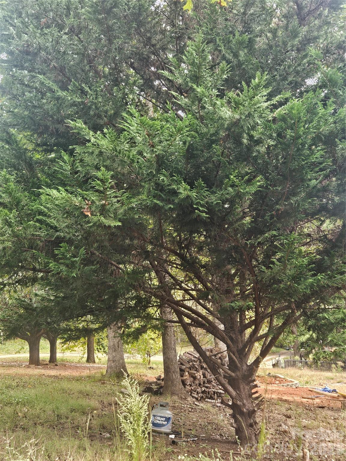 Mountain View Estates - Land