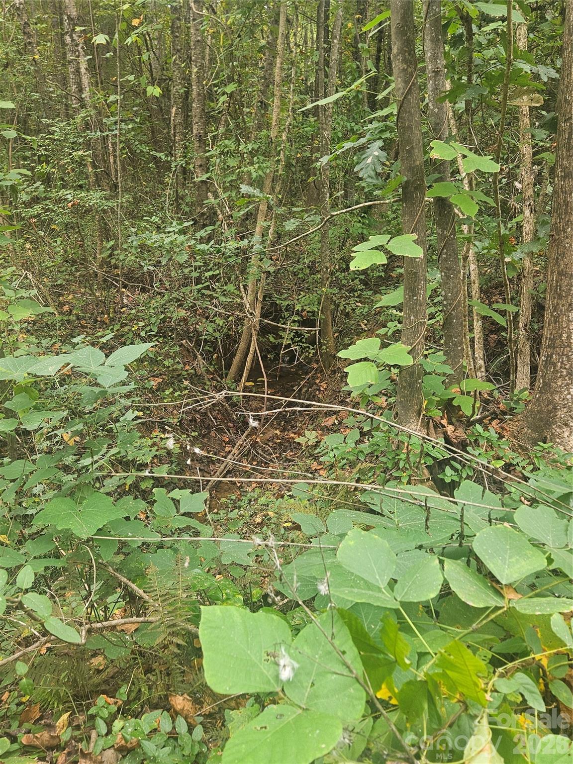 Mountain View Estates - Land