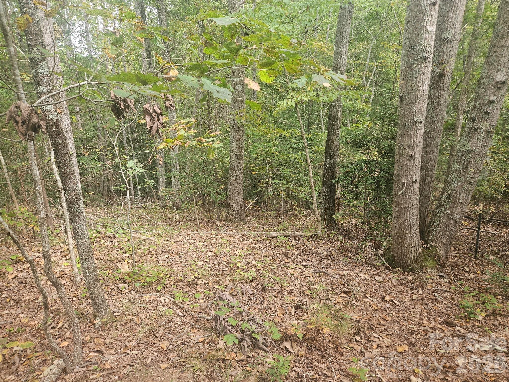 Mountain View Estates - Land