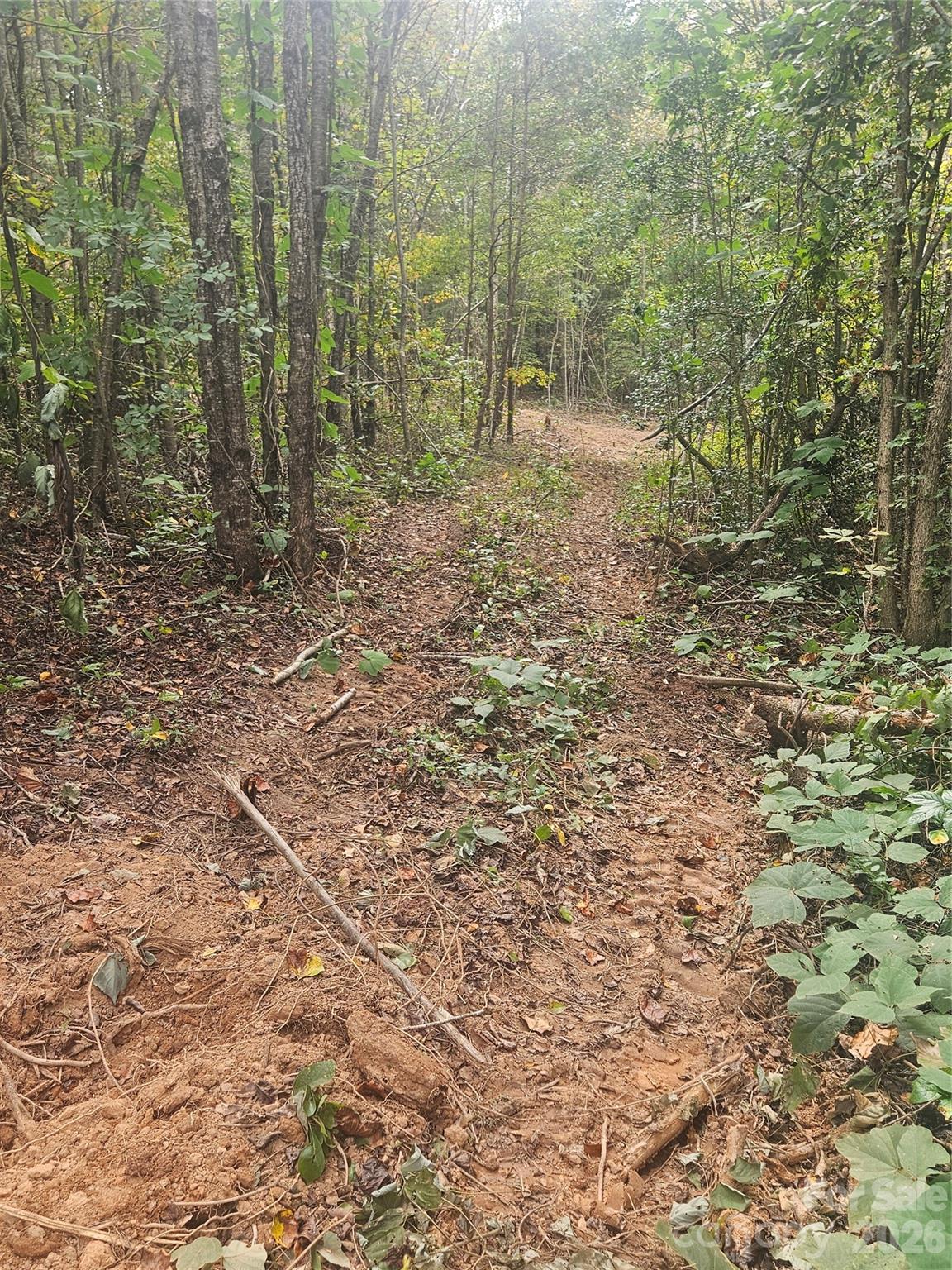 Mountain View Estates - Land