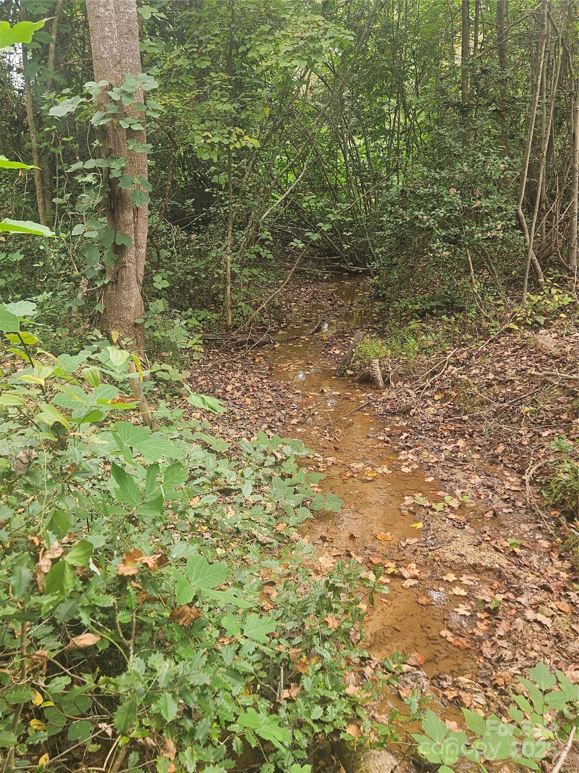 Mountain View Estates - Land