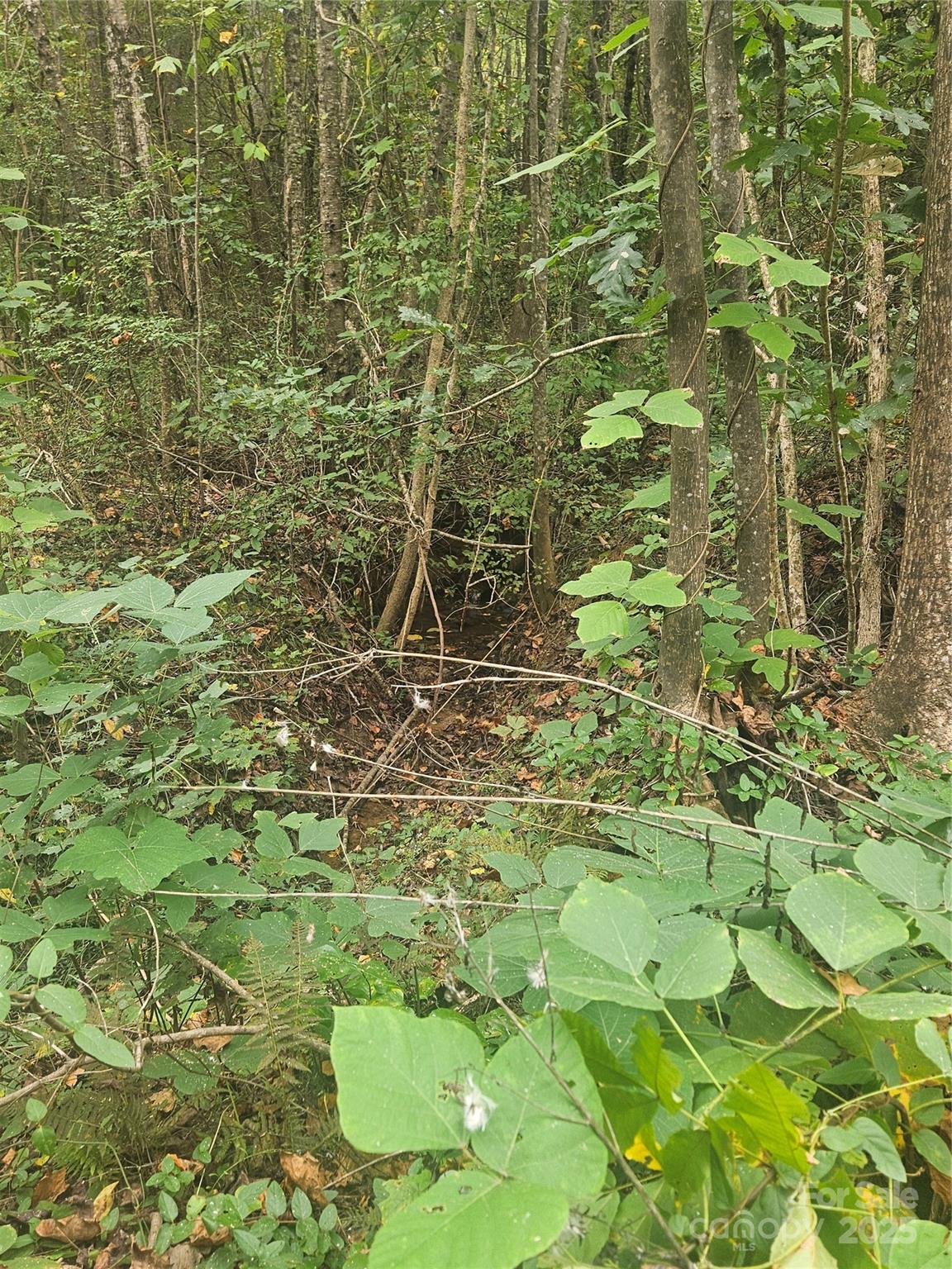 Mountain View Estates - Land