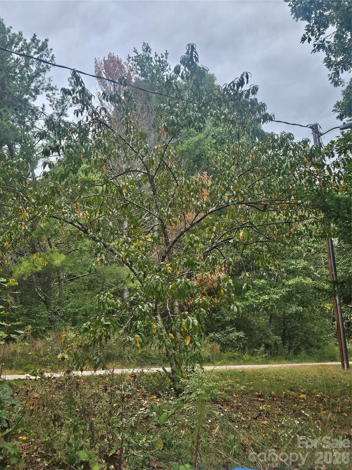 Mountain View Estates - Land