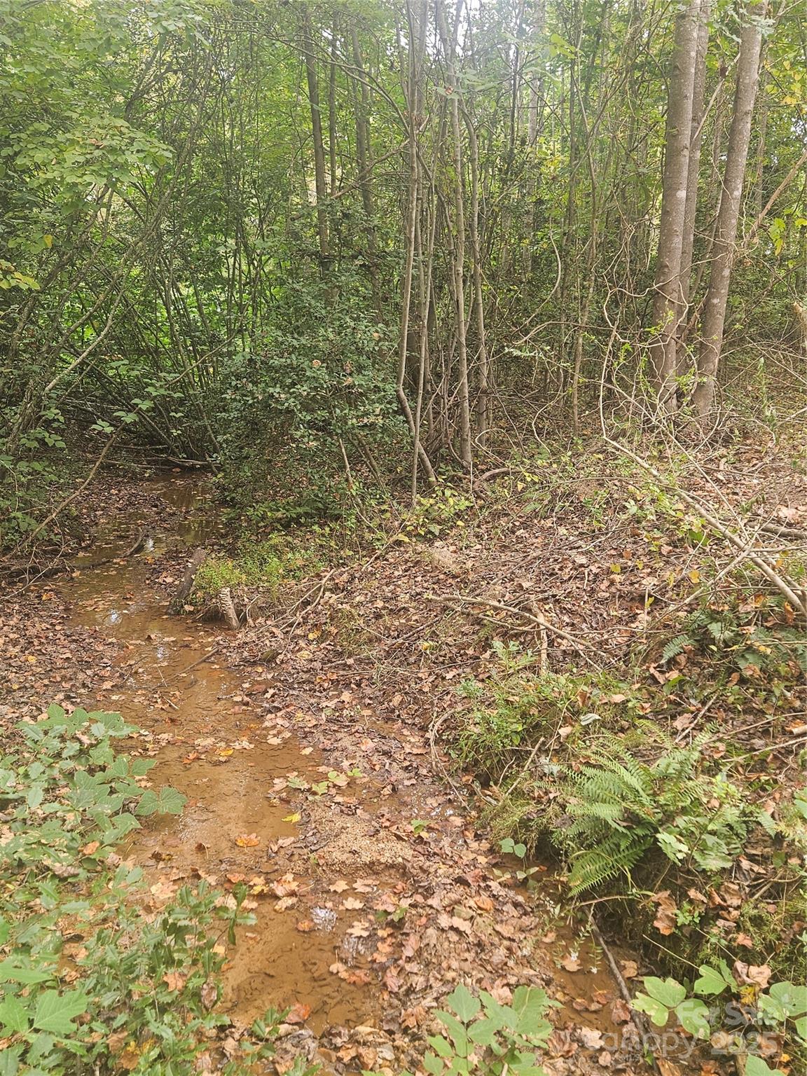158 Dusty Hollow