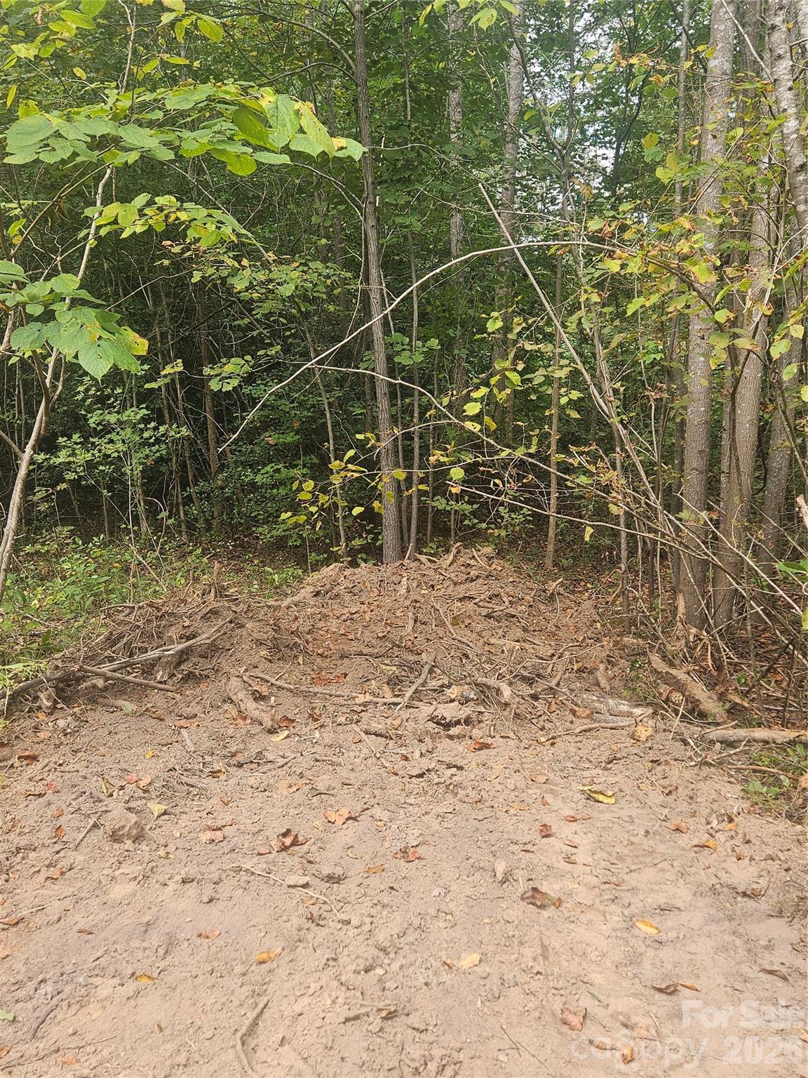 Mountain View Estates - Land