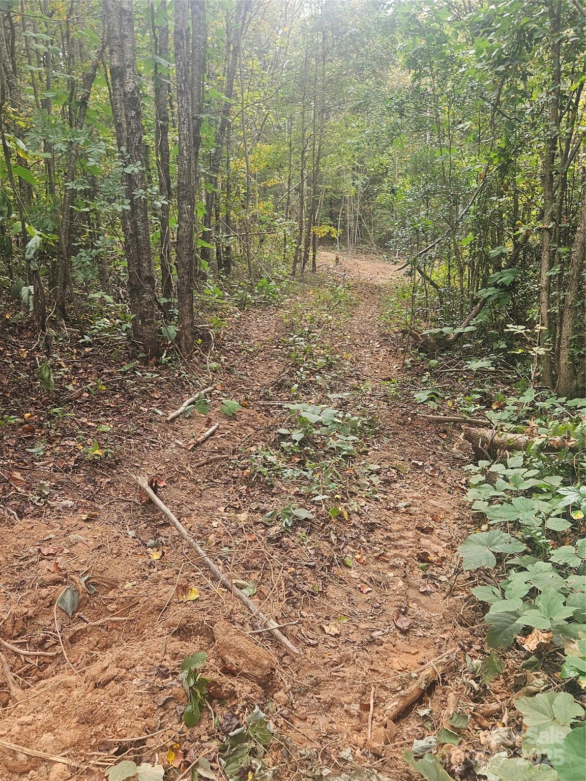 Mountain View Estates - Land