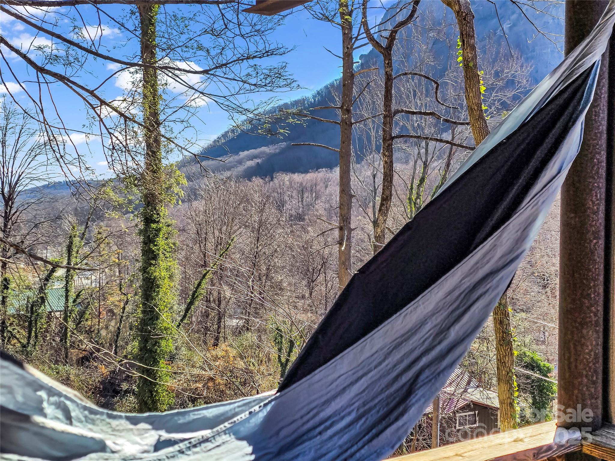 Mountain Village Chalets - Residential