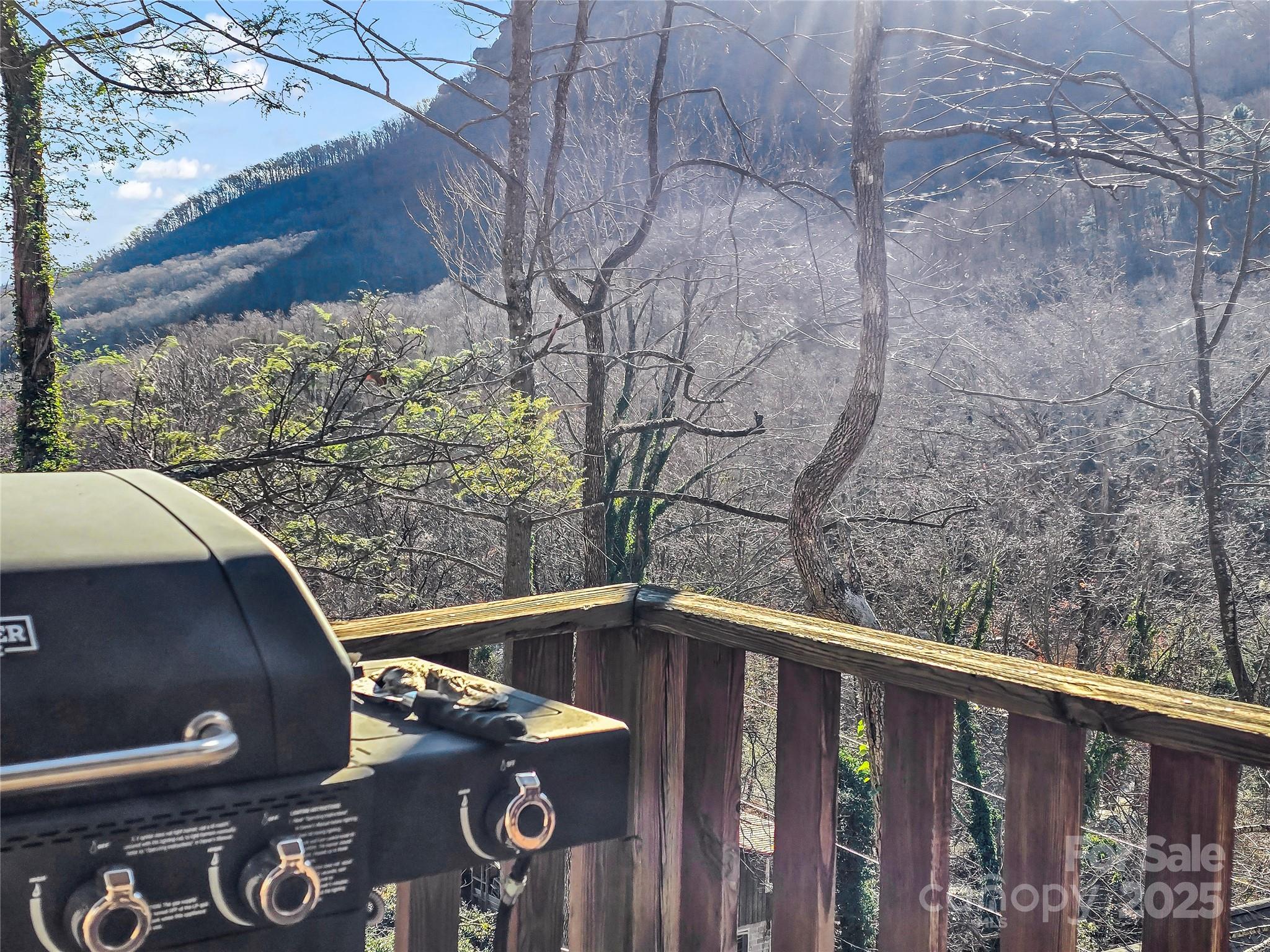 Mountain Village Chalets - Residential