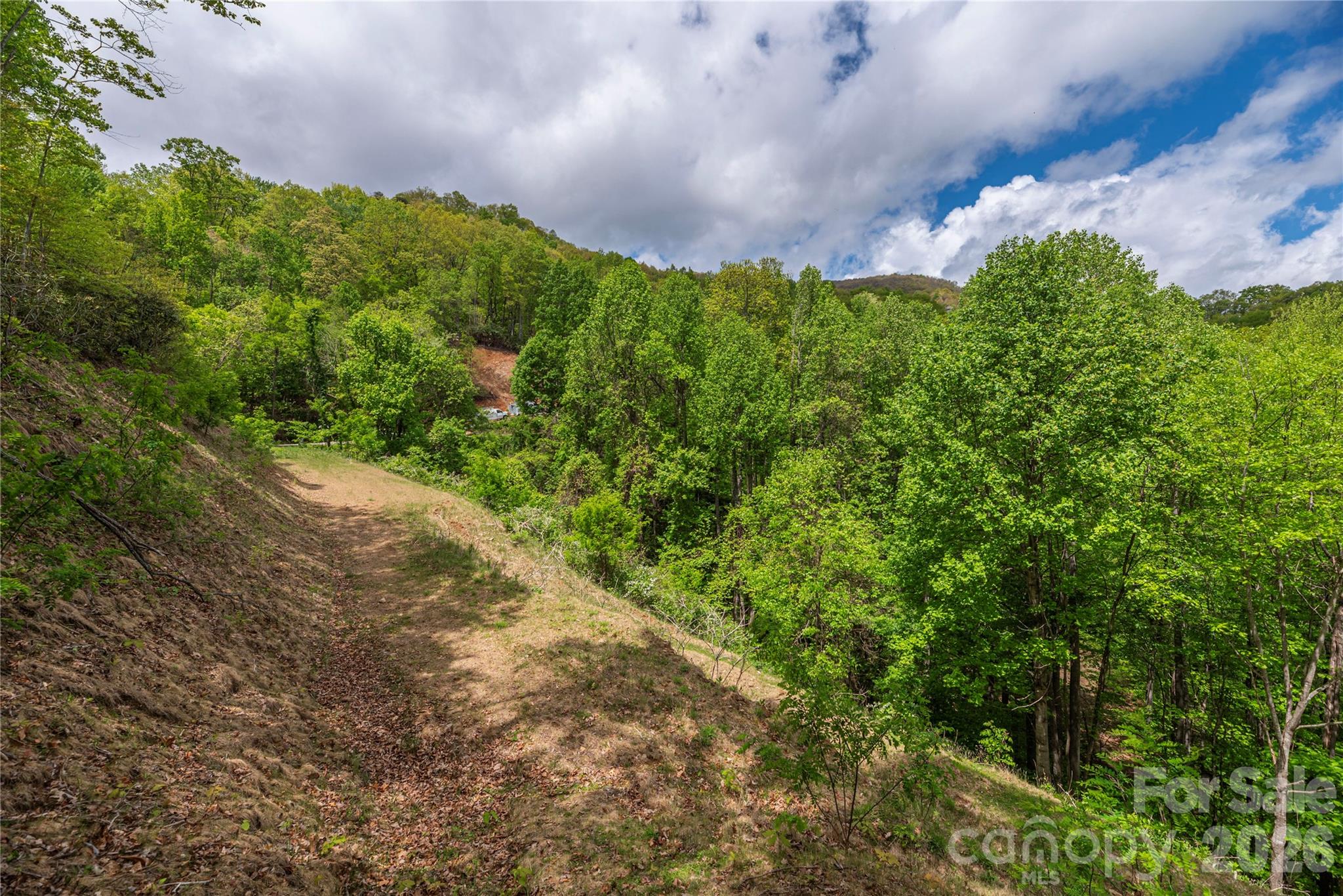 Big Springs Cove Estates - Land