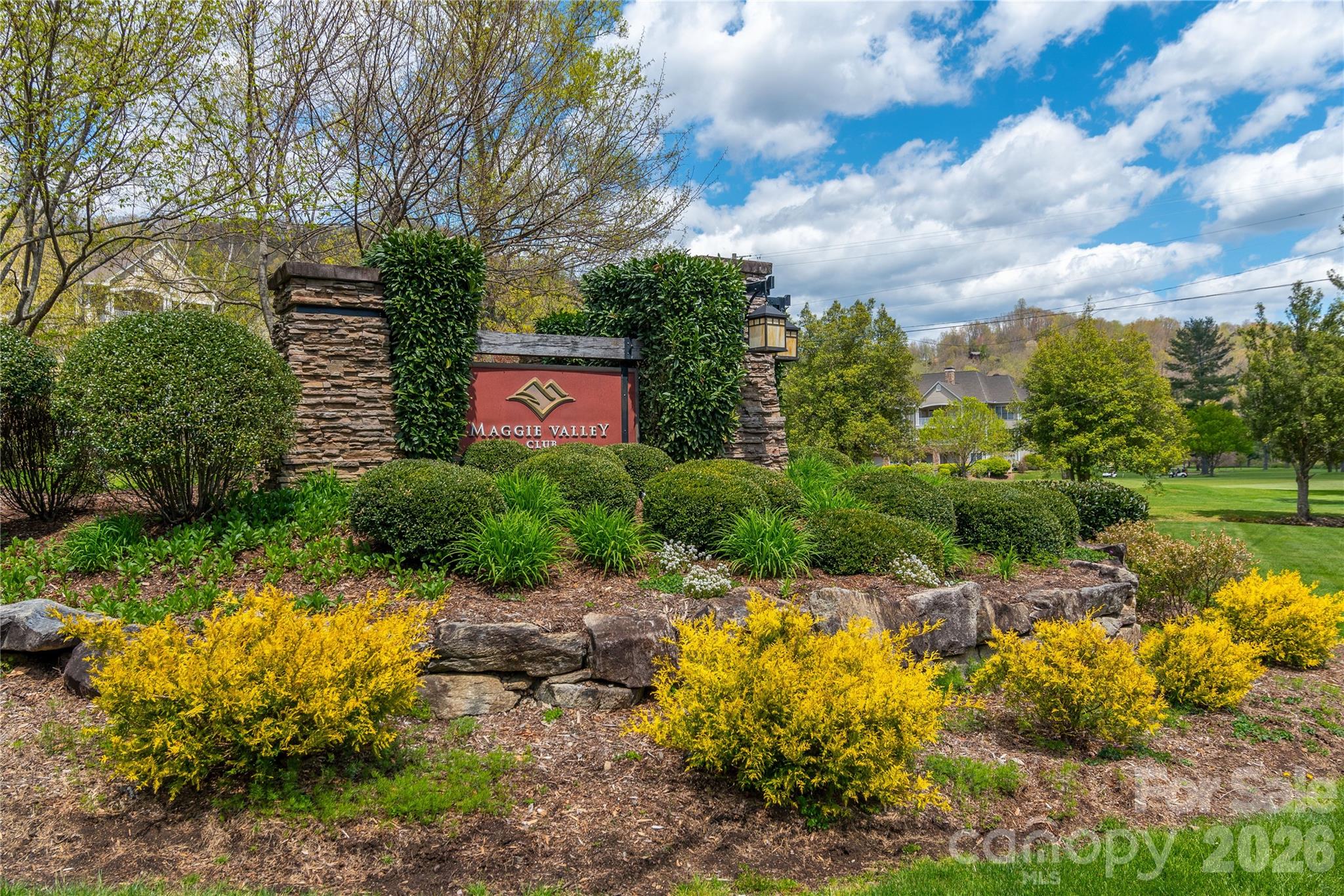 Big Springs Cove Estates - Land