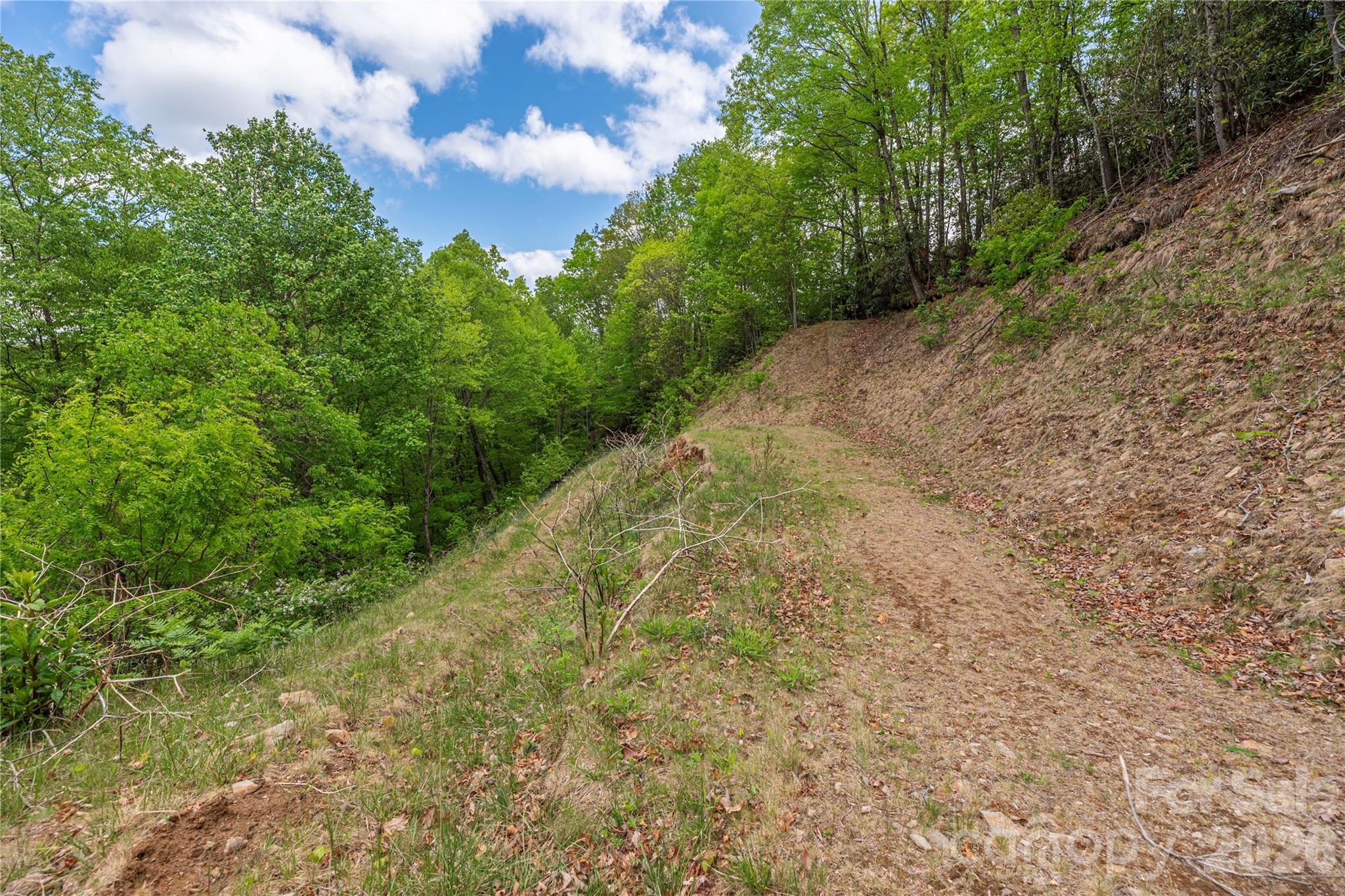 Big Springs Cove Estates - Land