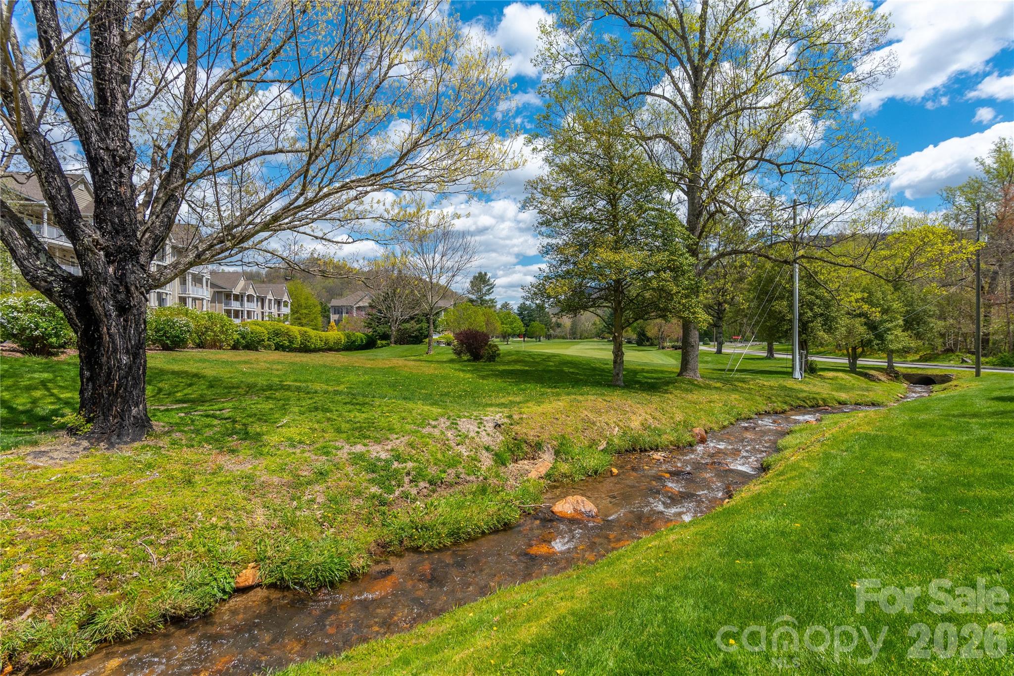 Big Springs Cove Estates - Land