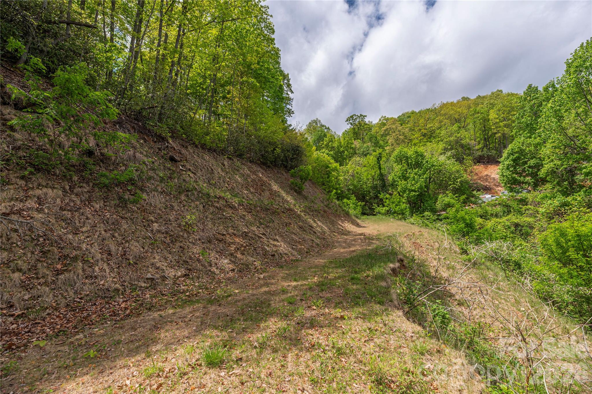 Big Springs Cove Estates - Land