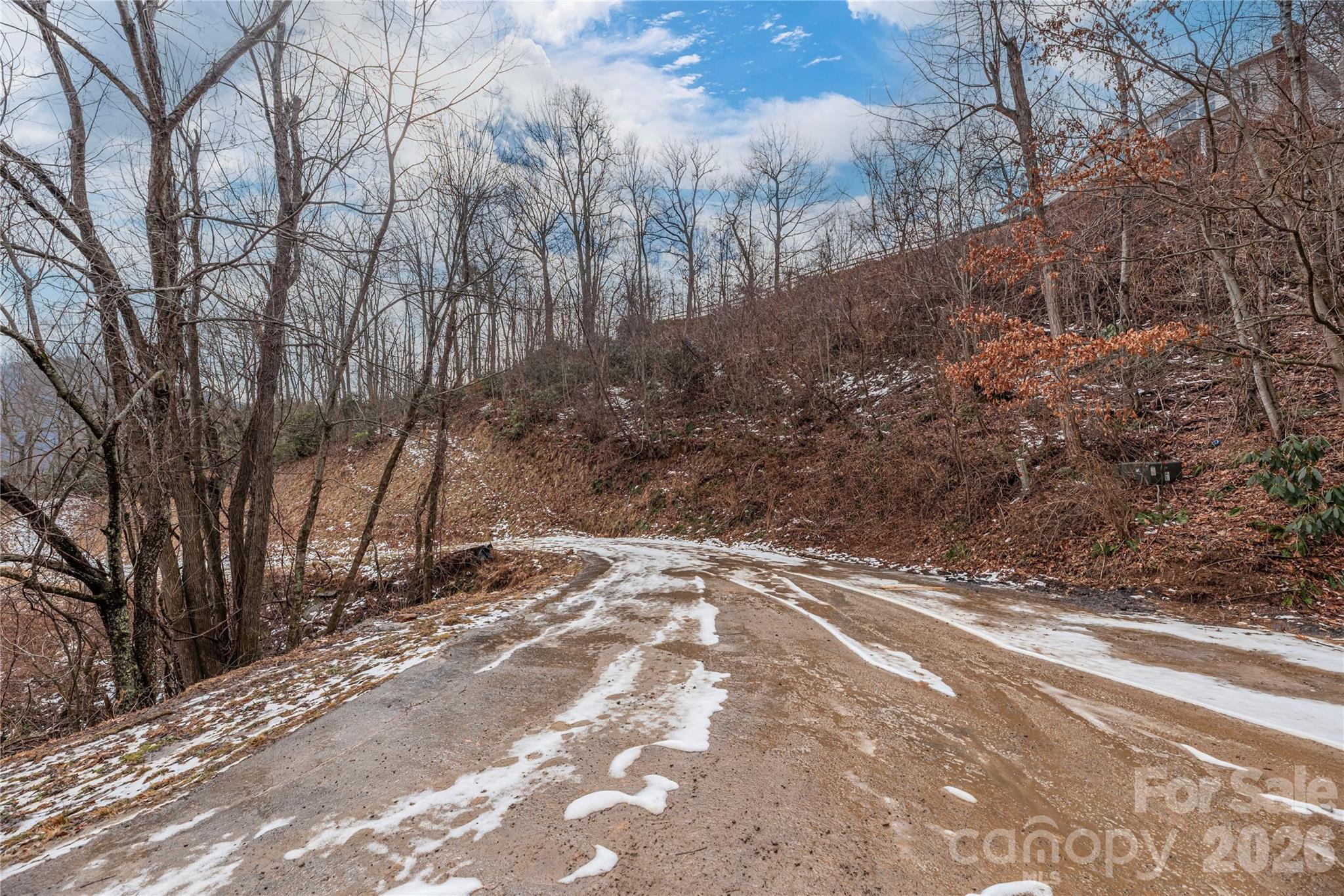 Big Springs Cove Estates - Land