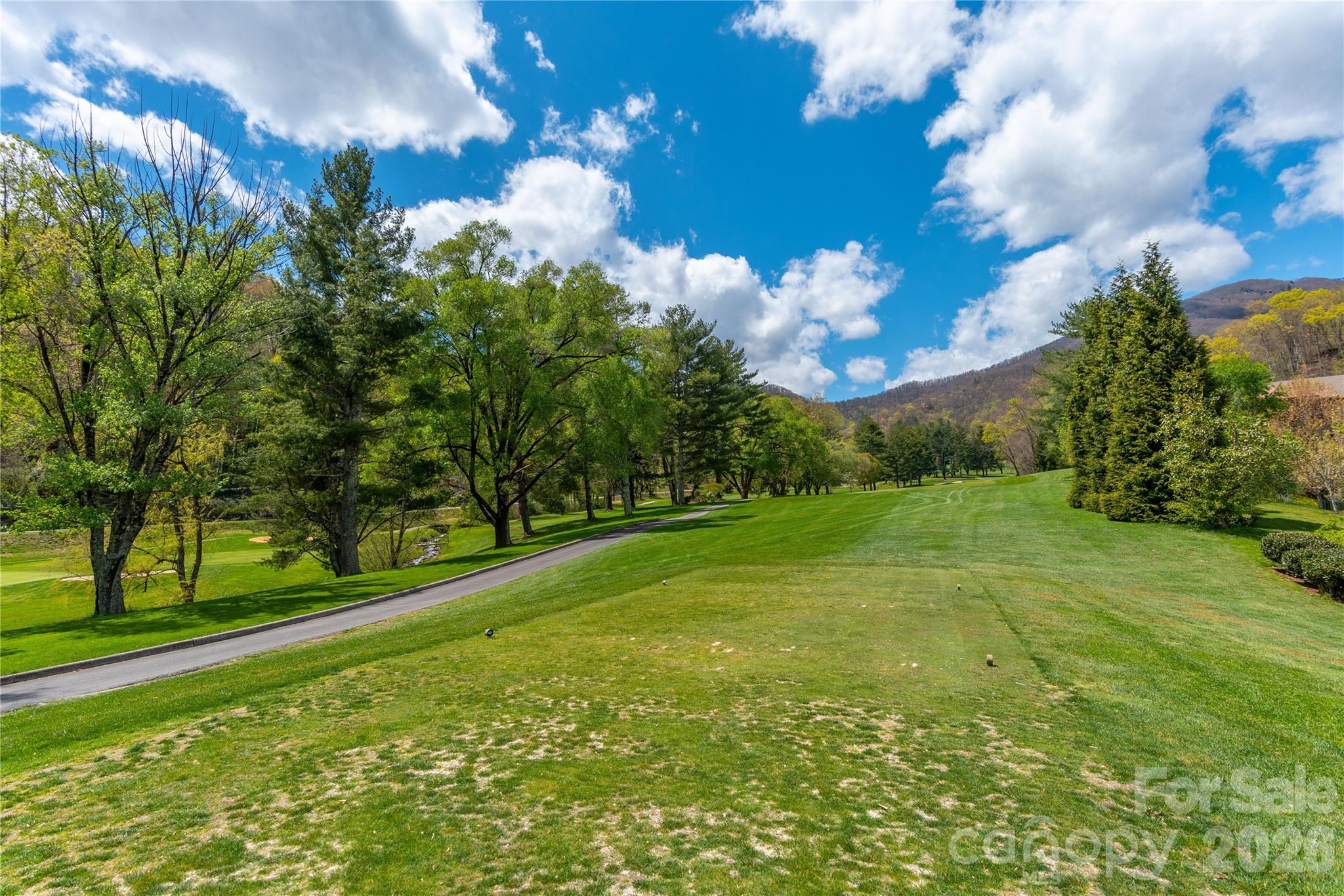 Big Springs Cove Estates - Land