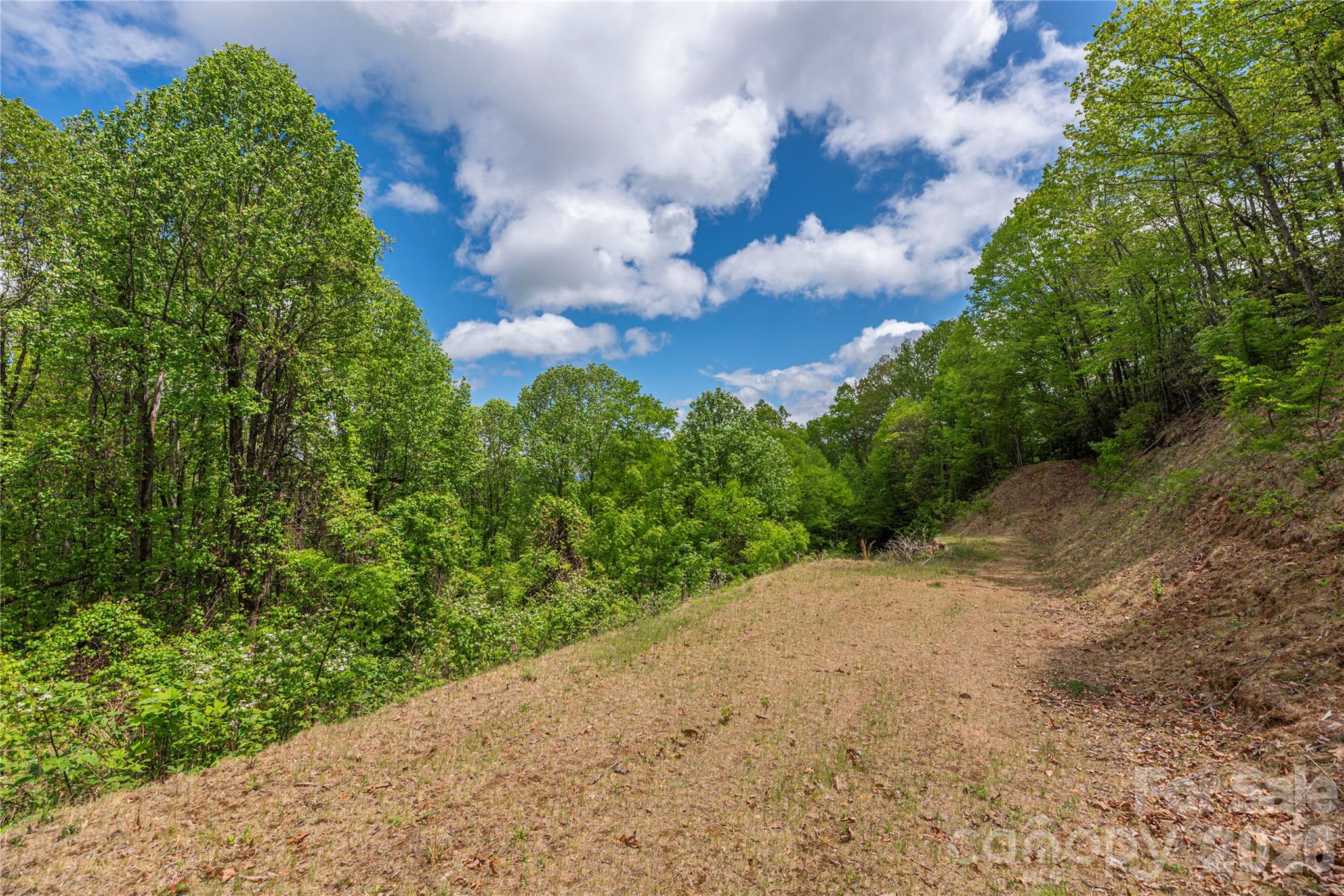 Big Springs Cove Estates - Land