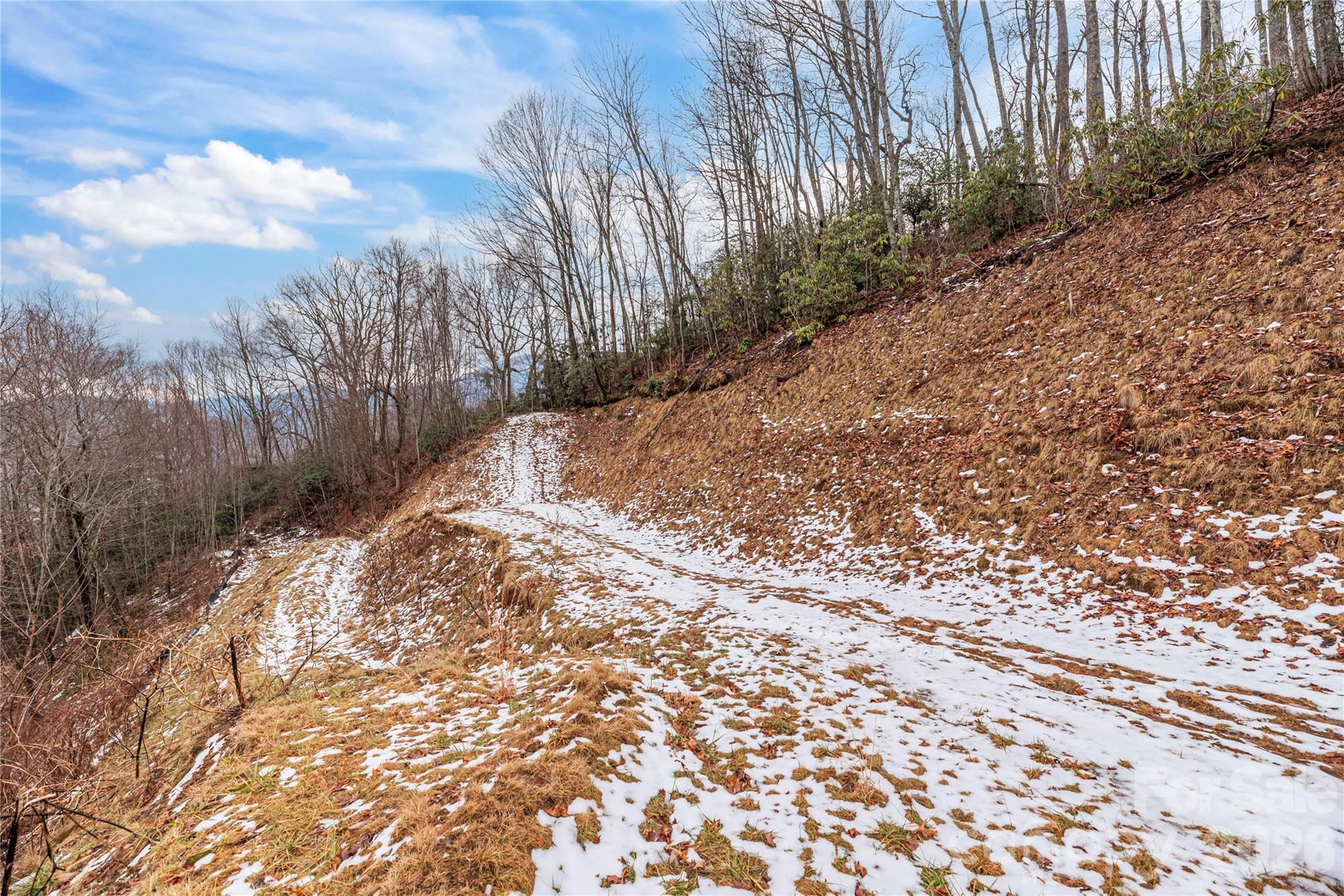 Big Springs Cove Estates - Land