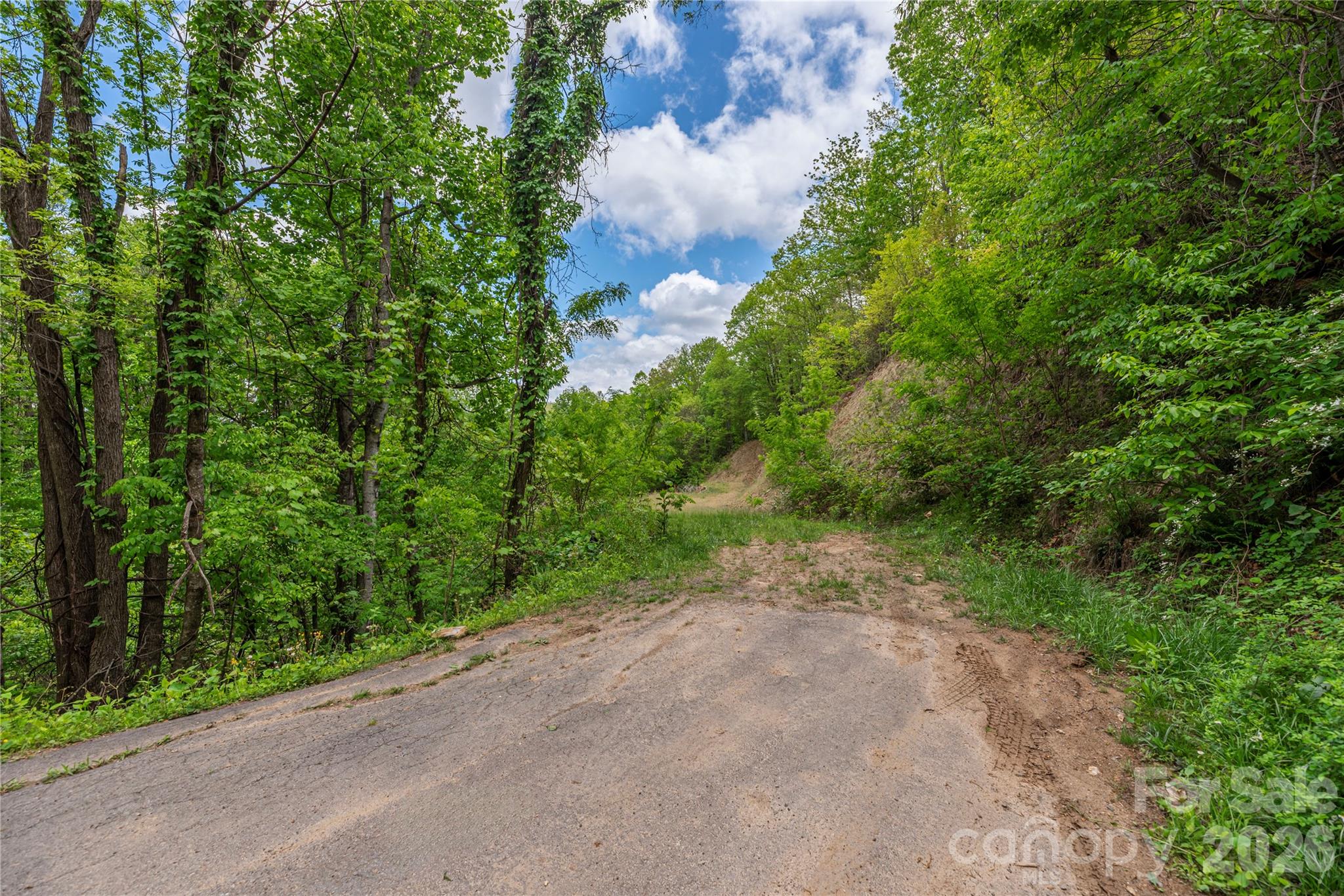 Big Springs Cove Estates - Land
