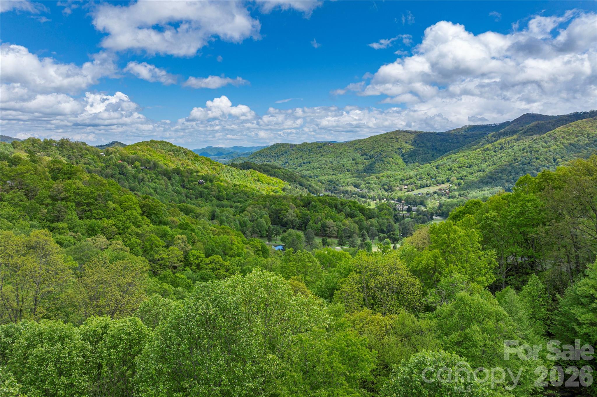 Big Springs Cove Estates - Land