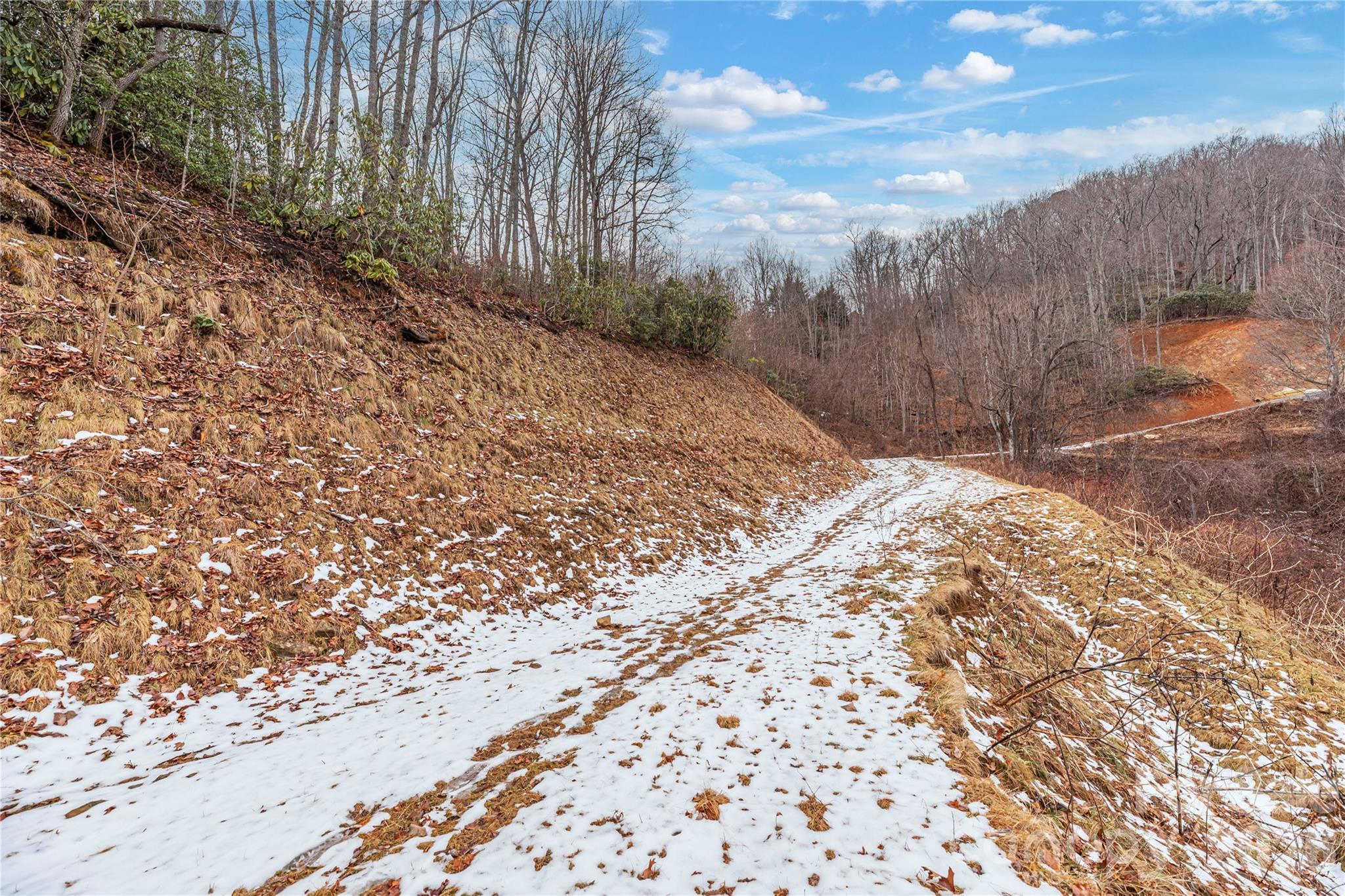 Big Springs Cove Estates - Land