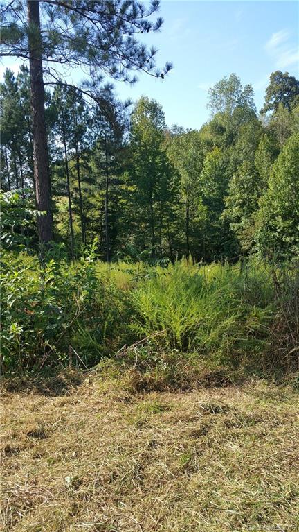 Verdict Ridge - Land