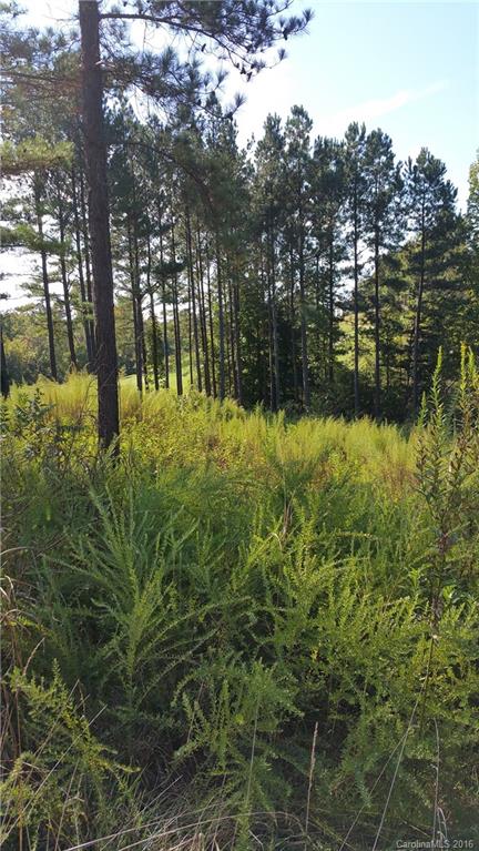 Verdict Ridge - Land