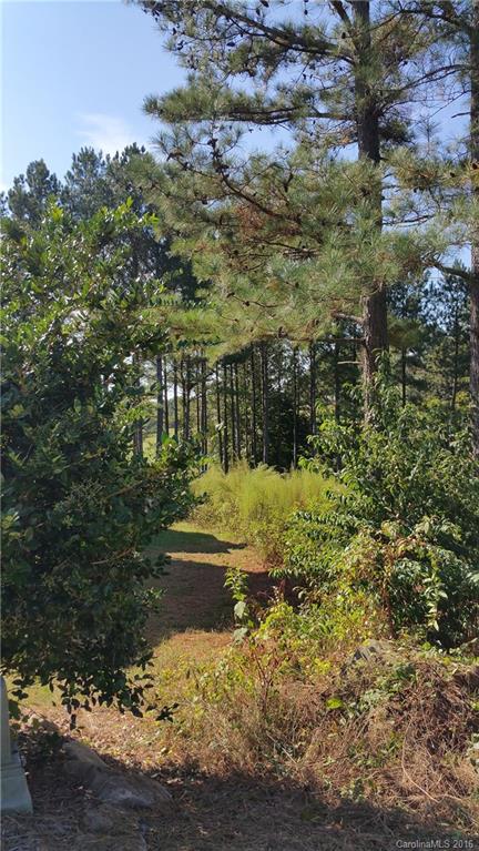 Verdict Ridge - Land