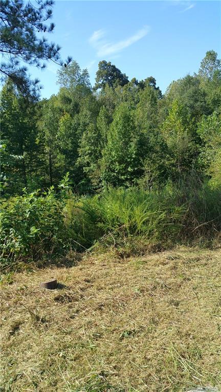 Verdict Ridge - Land