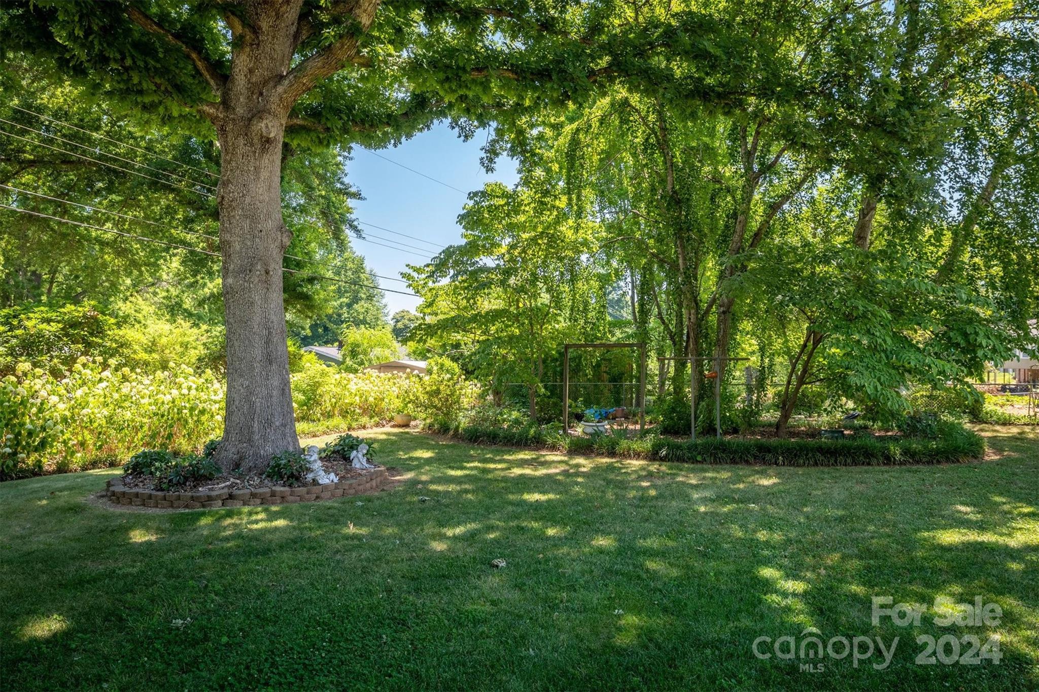 Pitts Park - Residential